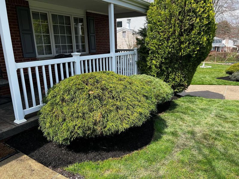 Lawn Maintenance