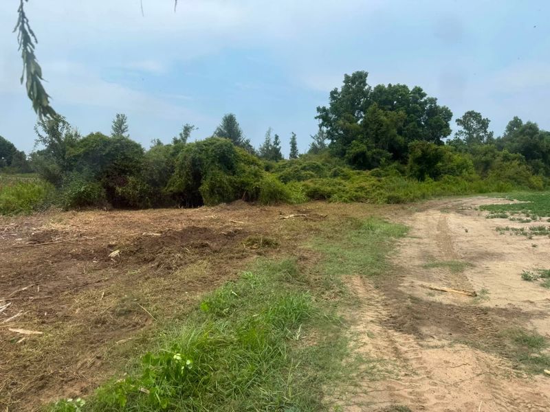 Land Clearing