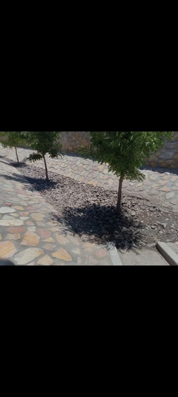 Landscaping