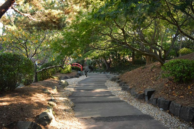 Hardscape Installation