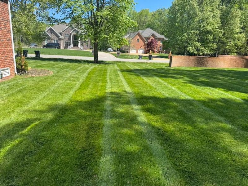 Lawn Mowing