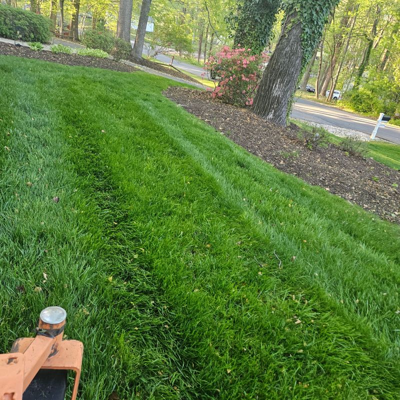 Weed Control and Fertilizer Treatment