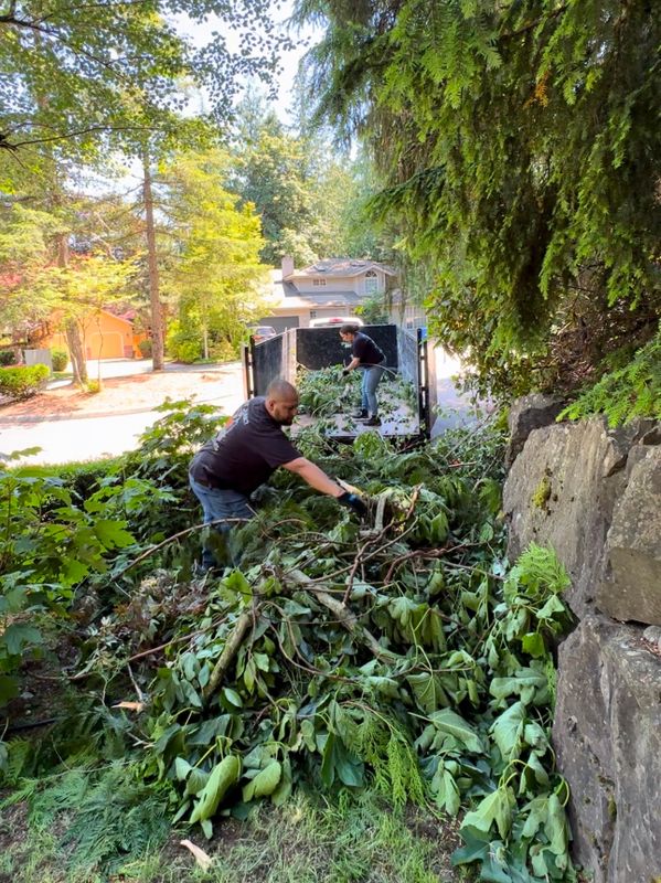 Yard Waste Removal