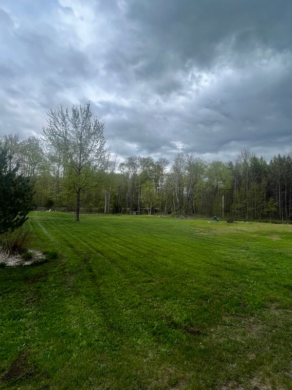 Landscaping