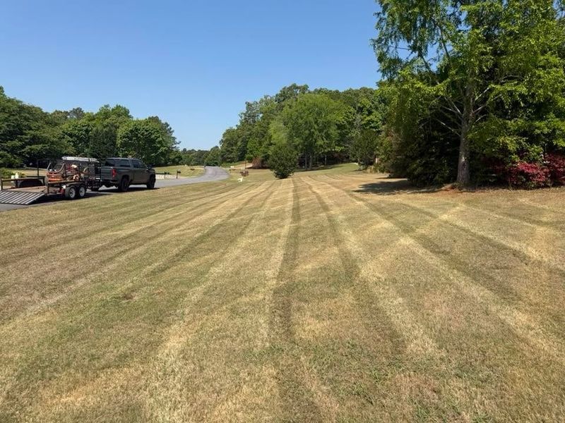 Lawn maintenance gallery