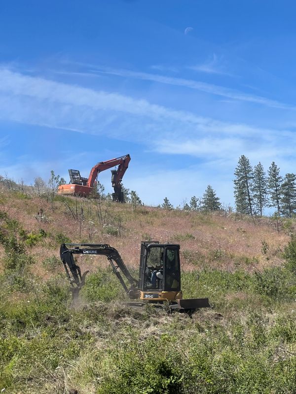 Land clearing 