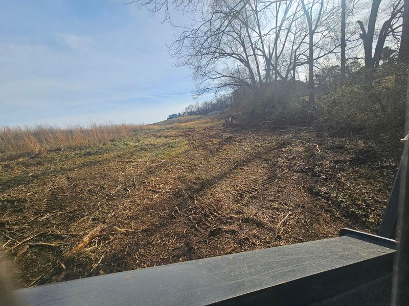 Forestry Mulching