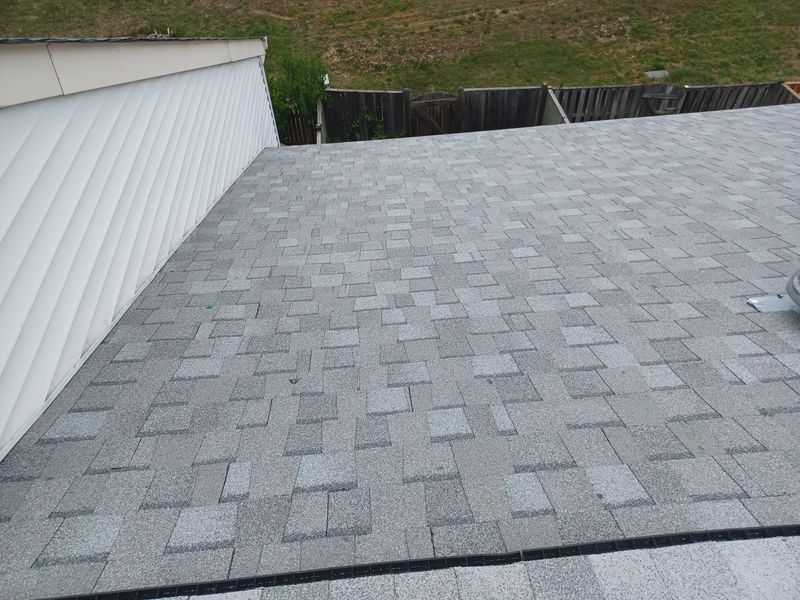 Shingle Roof Replacement