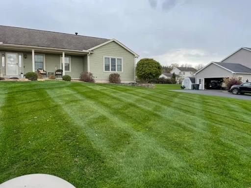 Lawn Aeration