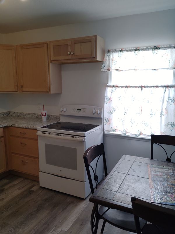 Kitchen Renovation