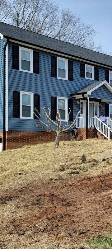 Tree Pruning