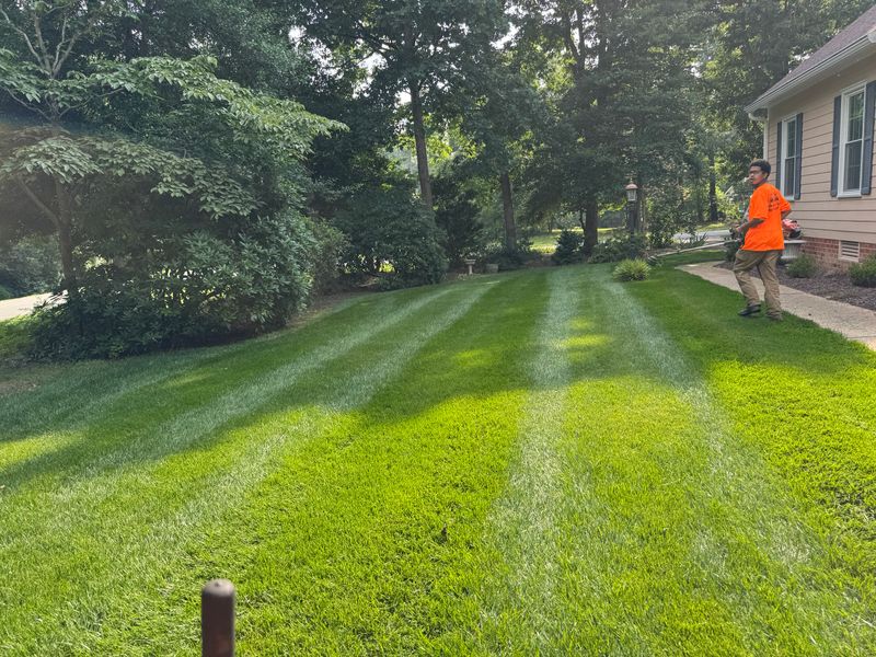 Mowing