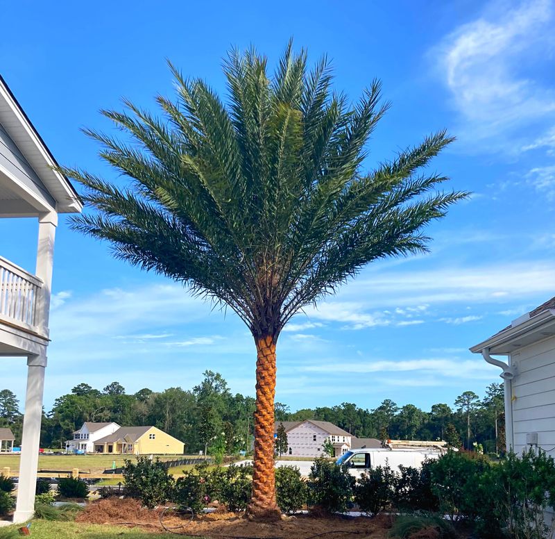 Everyday Landscaping Needs