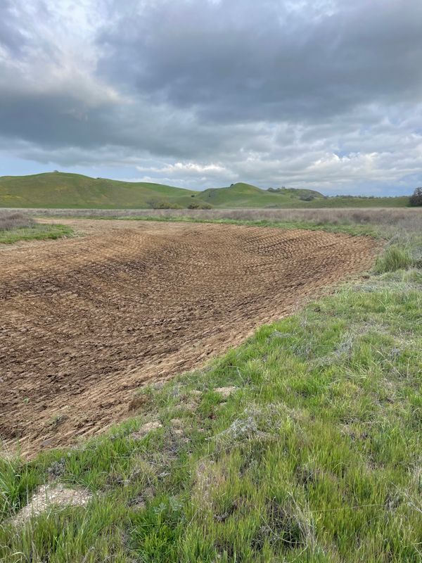 Land Clearing