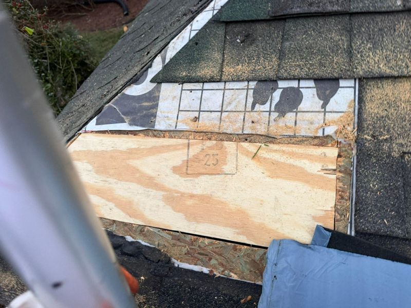 Roofing Installation