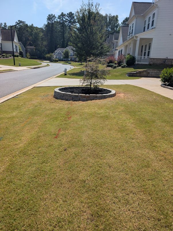 Landscape Design