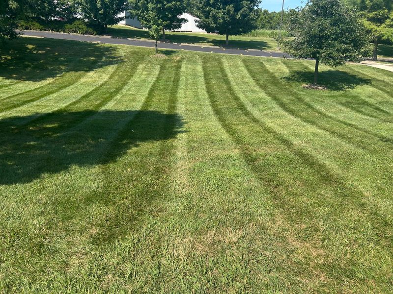 Commercial Lawn Care & Landscaping