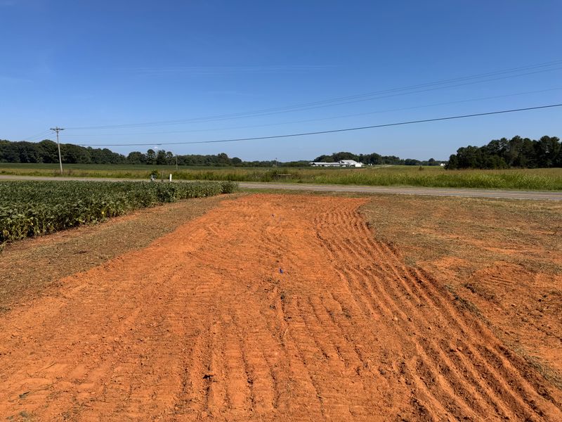 Land Clearing
