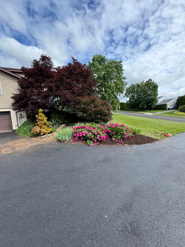 Landscaping