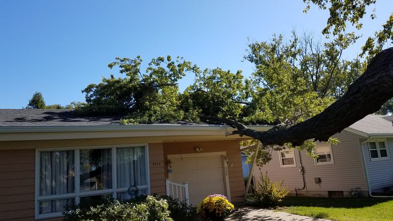 Storm Damage Cleanup gallery