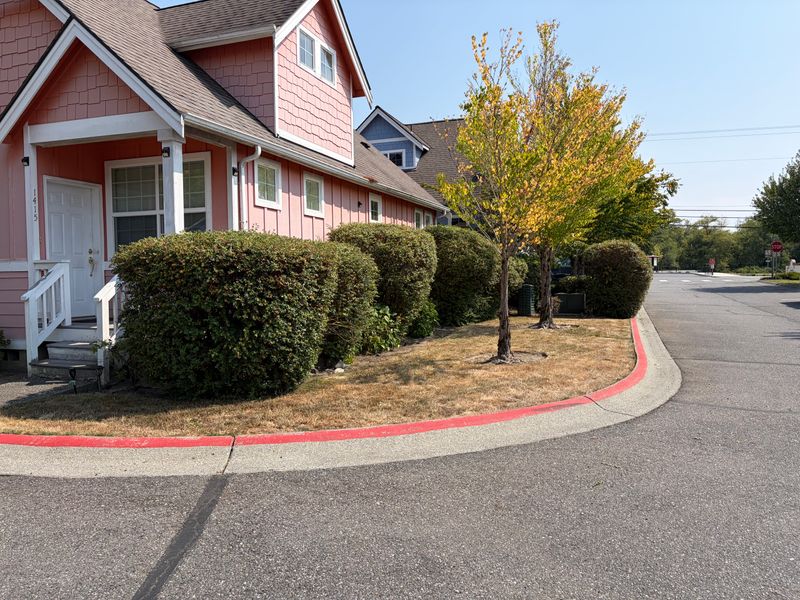 Hedge Trimming