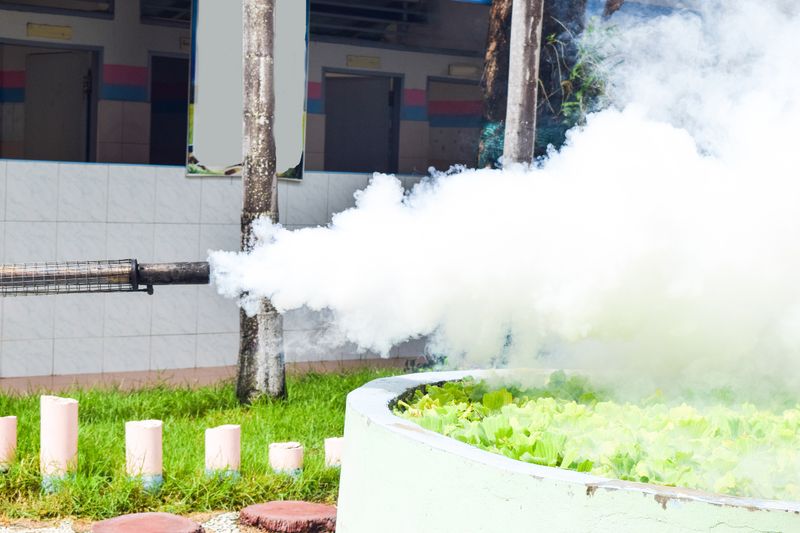 Mosquito Control