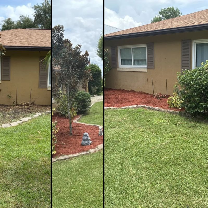 Lawn Care & Maintenance