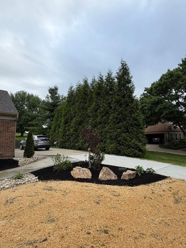 Landscape Design