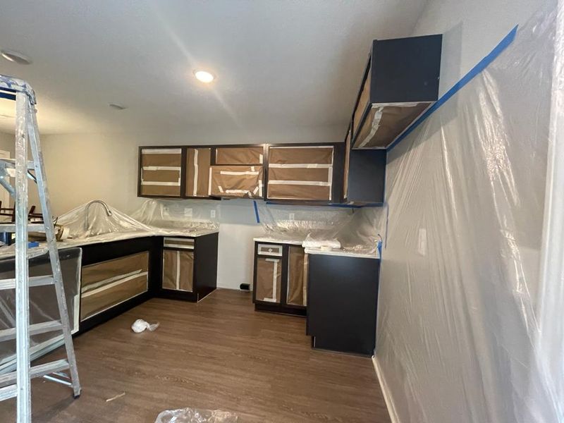 Cabinets Paint