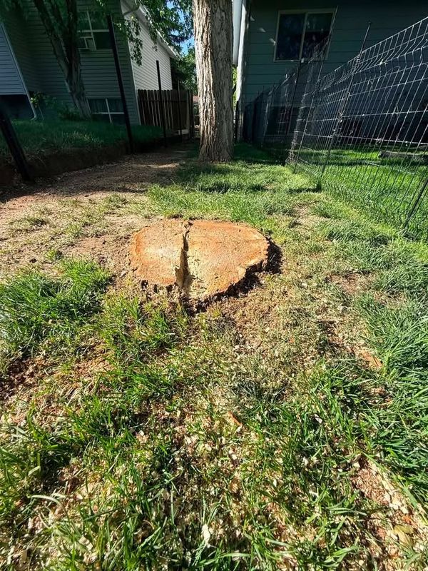 Stump Removal