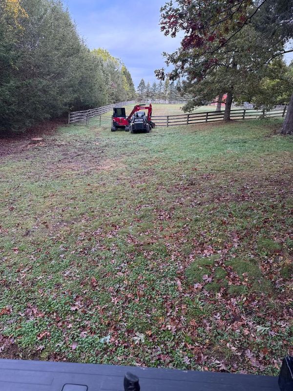 Yard Expansions