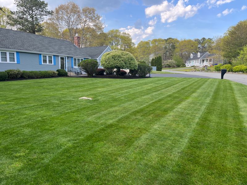 Mowing gallery