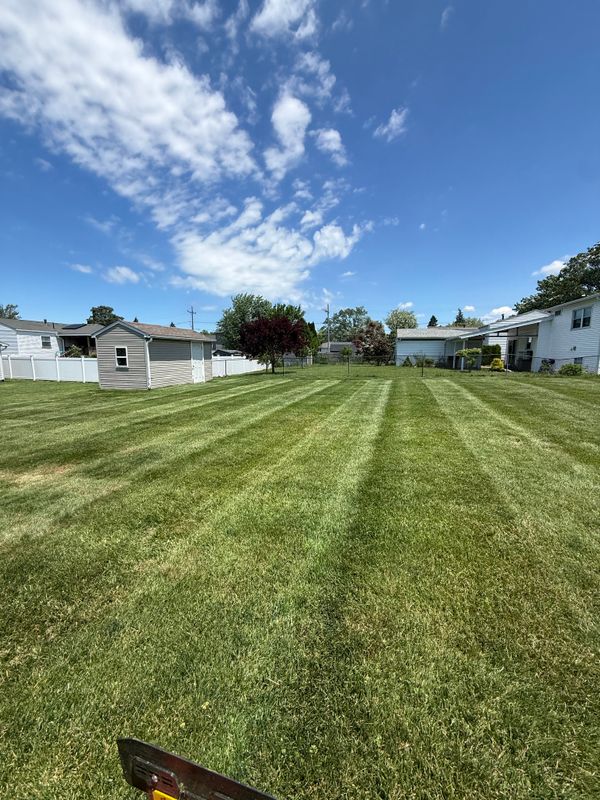 Lawn Maintenance