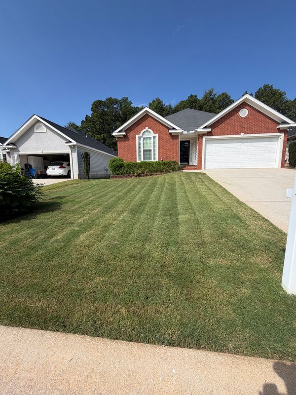 Lawn Maintenance