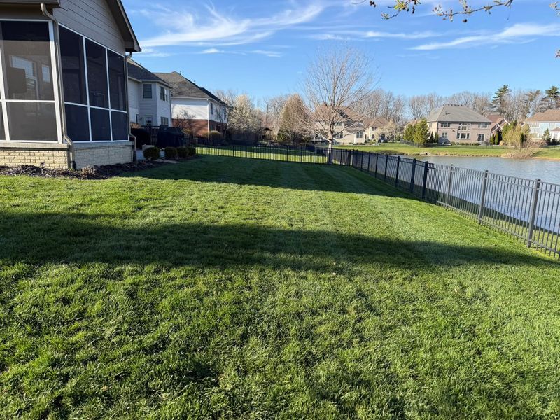 Lawn Mowing