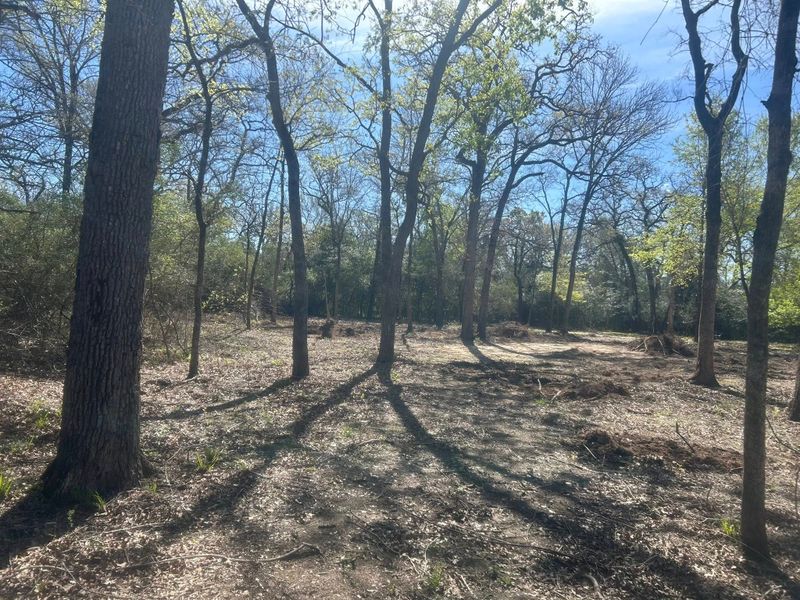 Forestry Mulching