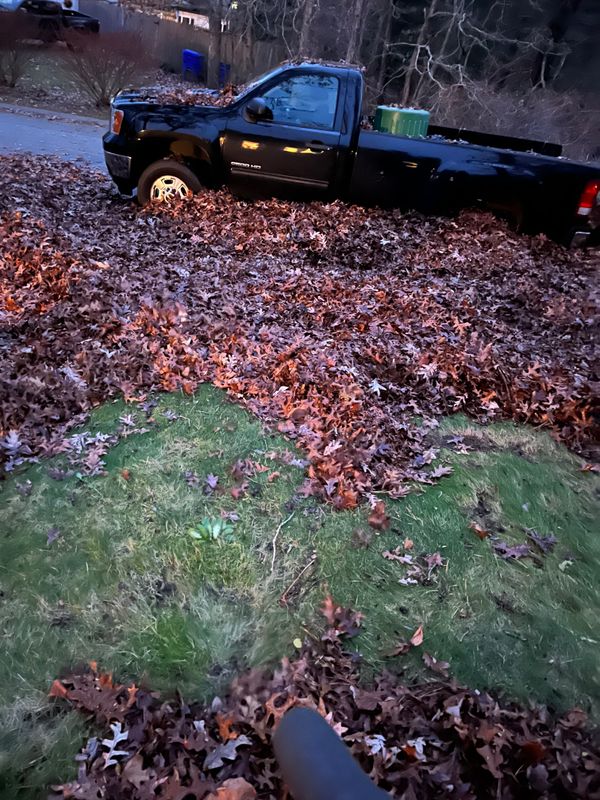 Fall CleanUp