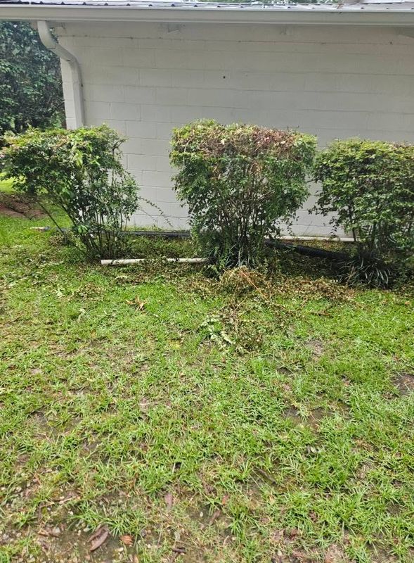 Landscaping