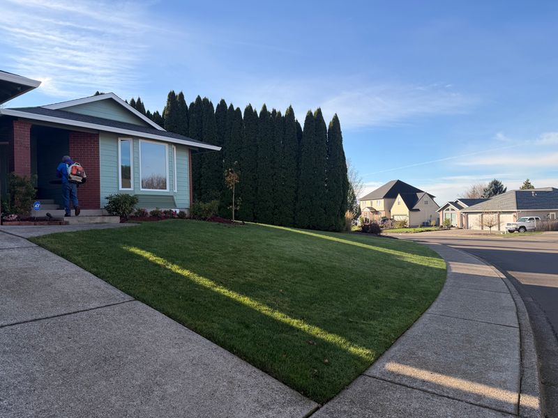 Lawn Aeration