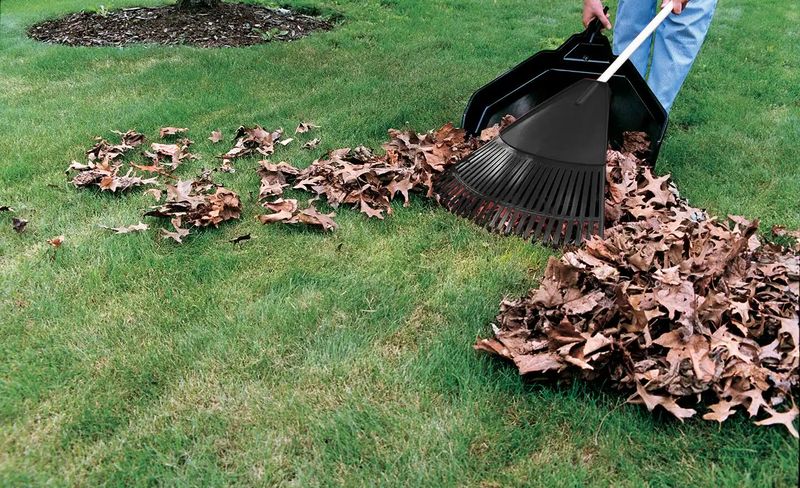 General Lawn Cleanup