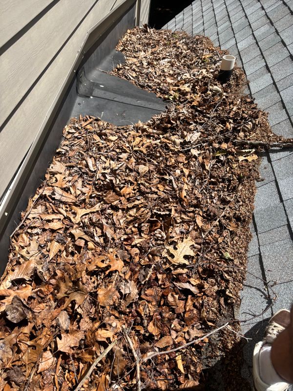 Roof Cleaning