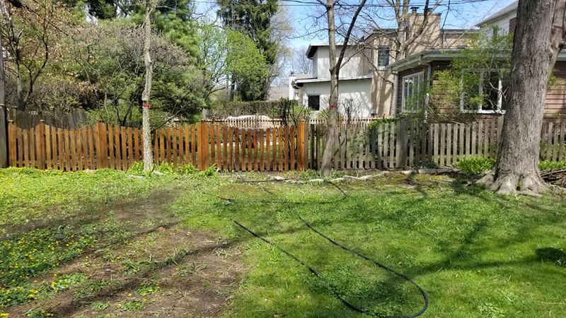 Fence Cleaning and Staining