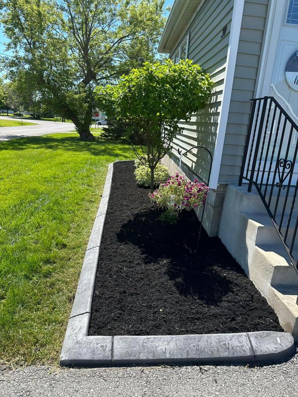 Shrub & Plant Installation Photos