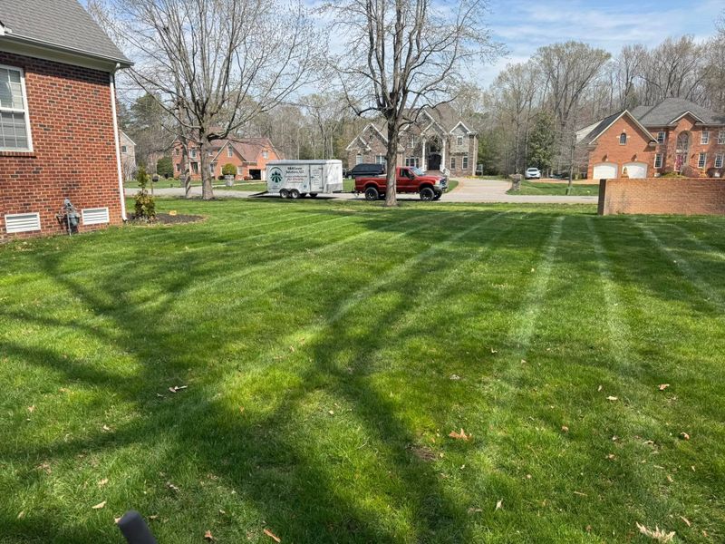 Lawn Mowing