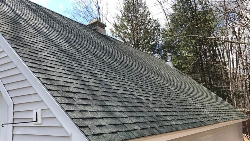 Roof Cleaning