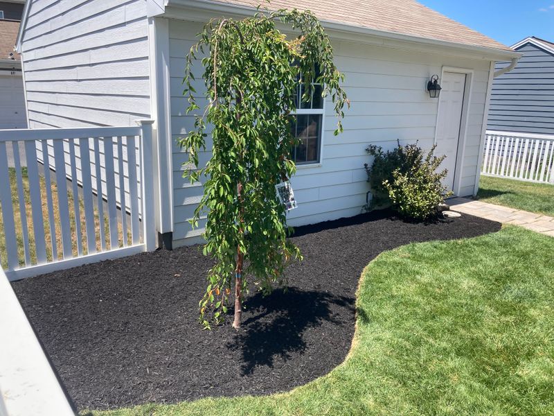 Landscape Design