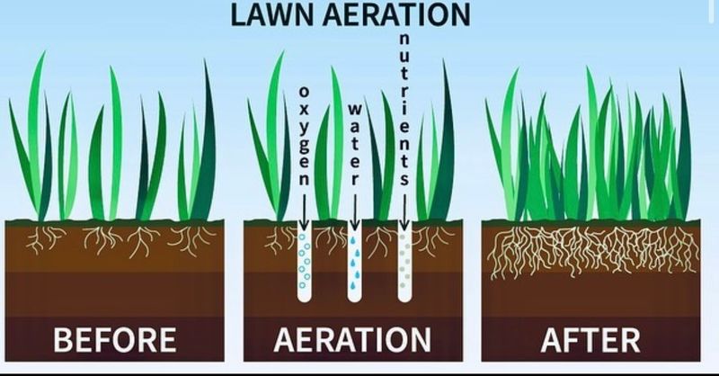 Core Lawn Aeration/Seeding