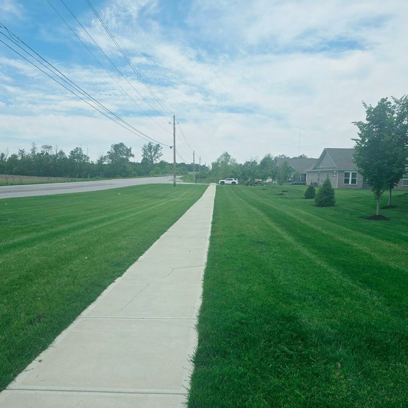 Lawn Maintenance