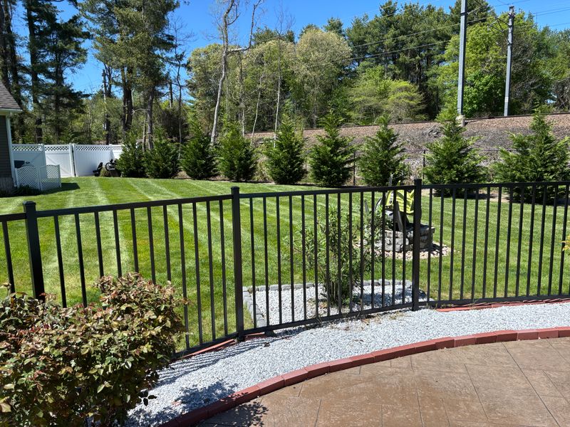Premium Lawn Maintenance