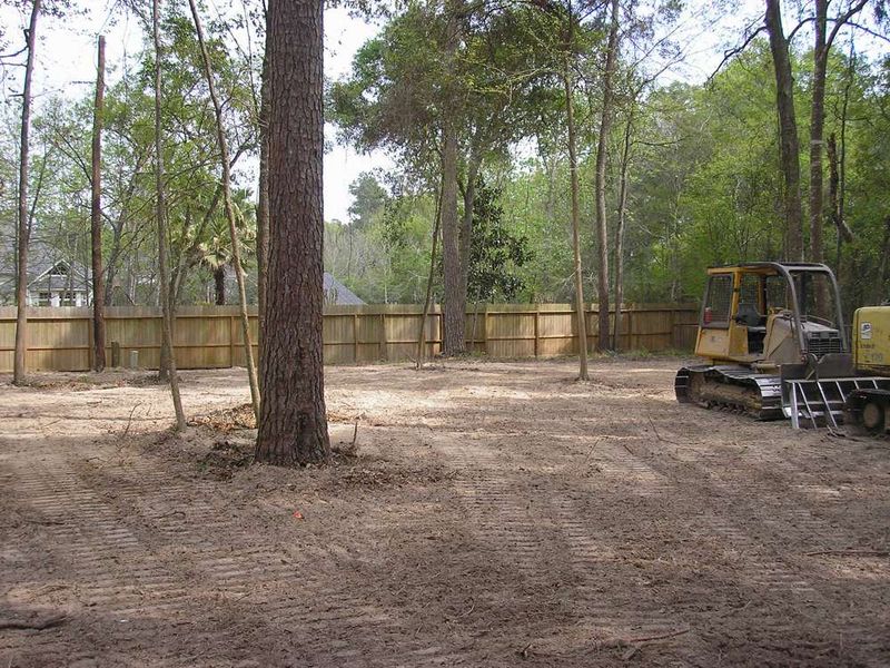 Brush Clearing